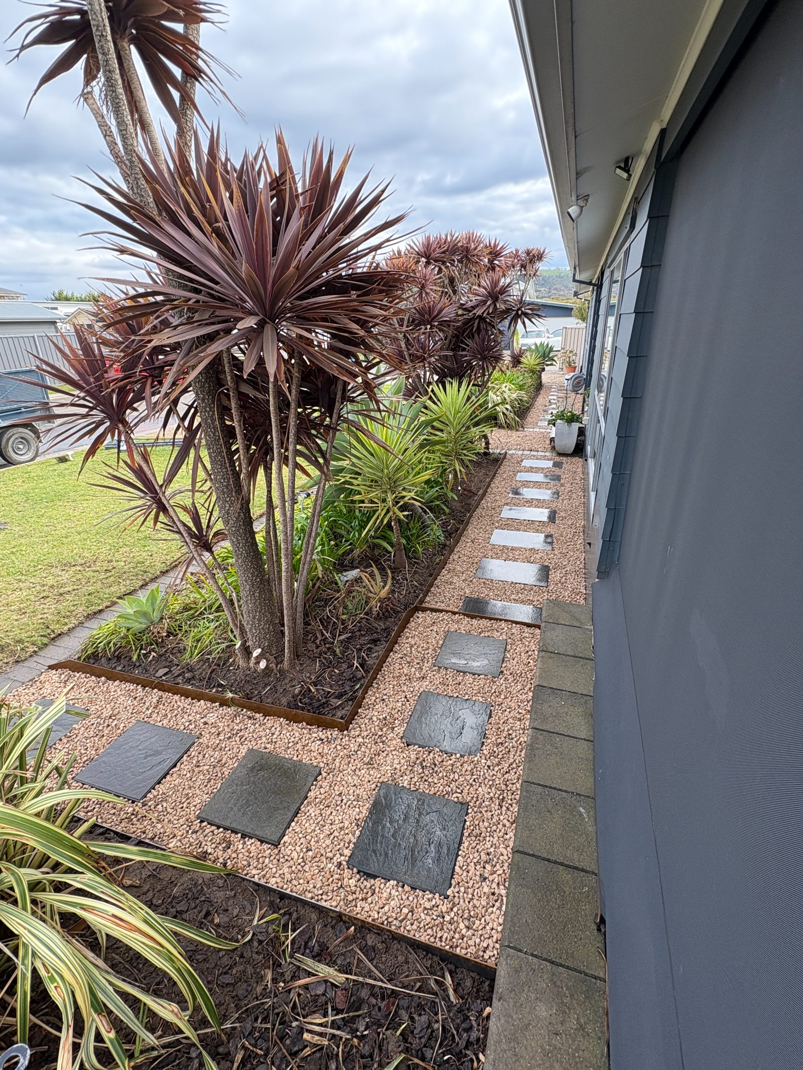 Side path of stepping pavers set in pink gravel beside cordyline garden beds